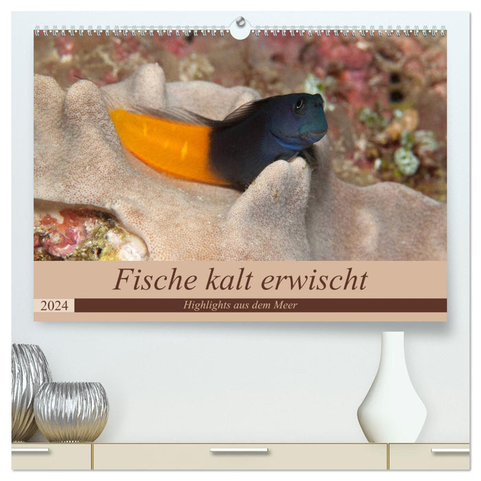 Sven Gruse taucht ab! Fische kalt erwischt (CALVENDO Premium Wandkalender 2024)
