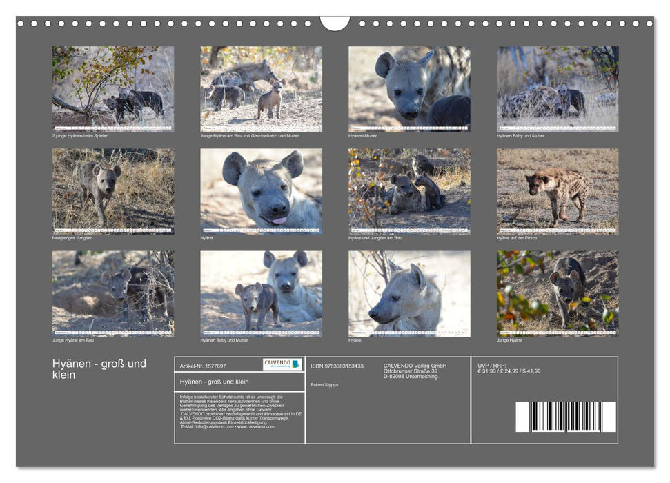 Hyänen - groß und klein (CALVENDO Wandkalender 2024)