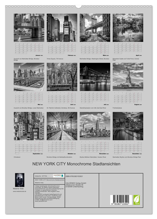 NEW YORK CITY Monochrome Stadtansichten (CALVENDO Premium Wandkalender 2024)