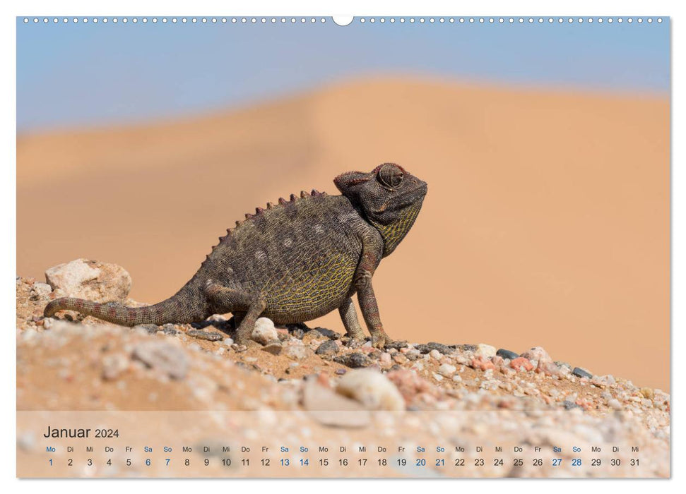 Die Wüste lebt! - Der LIVING DESERT Kalender 2024 (CALVENDO Premium Wandkalender 2024)