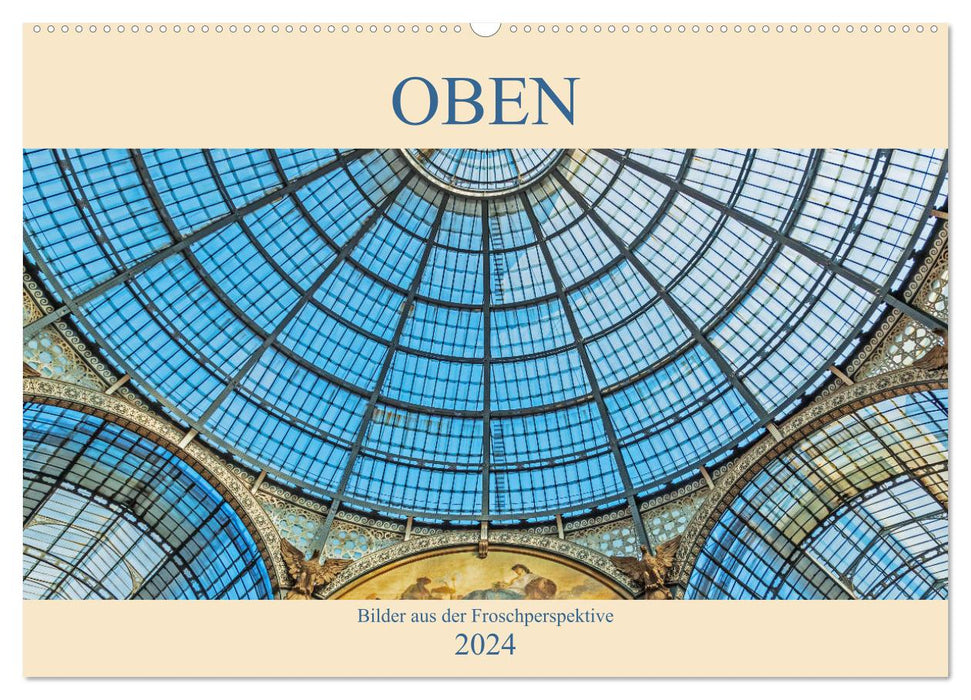 Oben - Bilder aus der Froschperspektive (CALVENDO Wandkalender 2024)