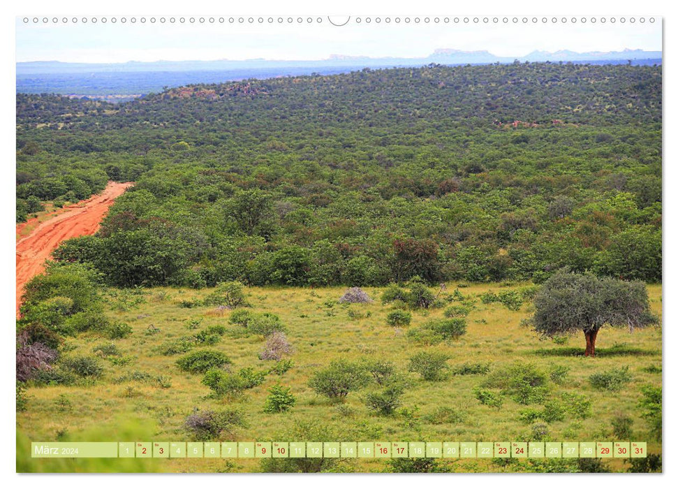 Botswana - ungezähmte Natur (CALVENDO Premium Wandkalender 2024)