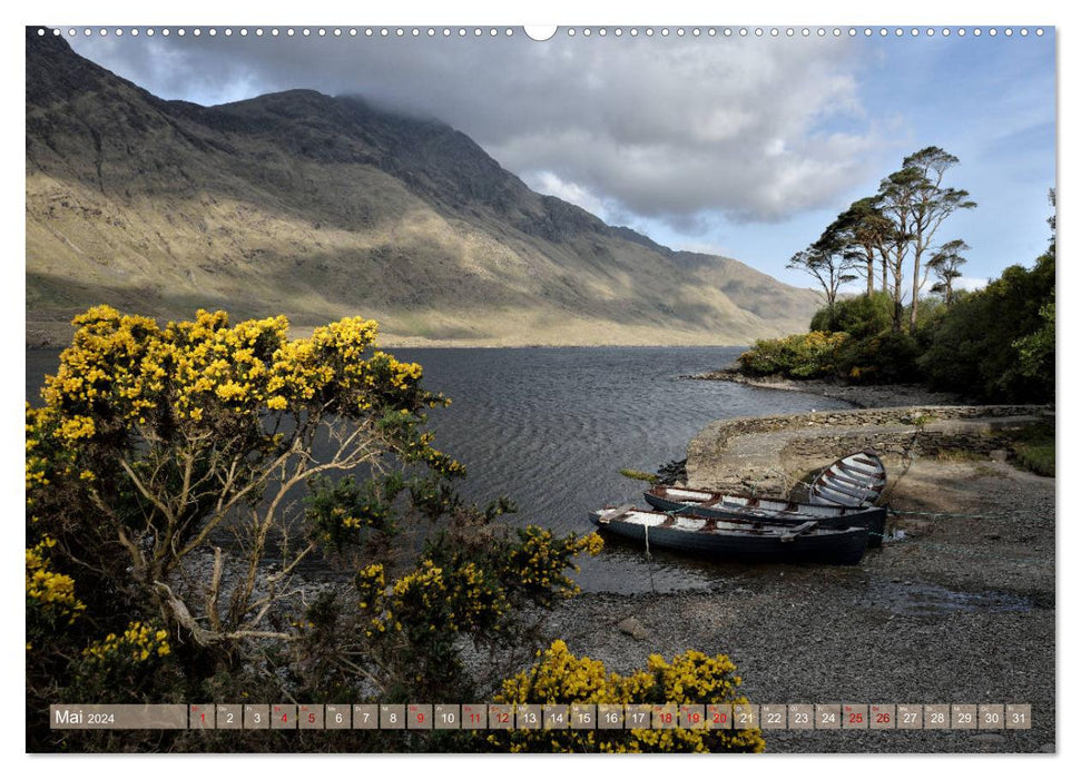 Irlande occidentale (calendrier mural CALVENDO 2024) 