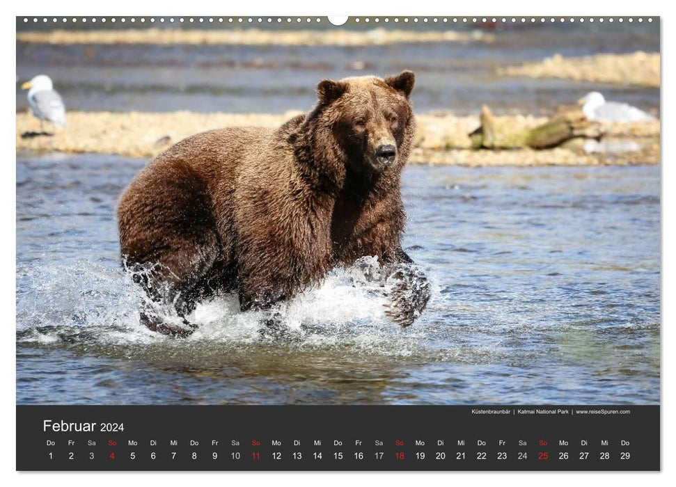 Alaska 2024 - faszinierend anders (CALVENDO Premium Wandkalender 2024)