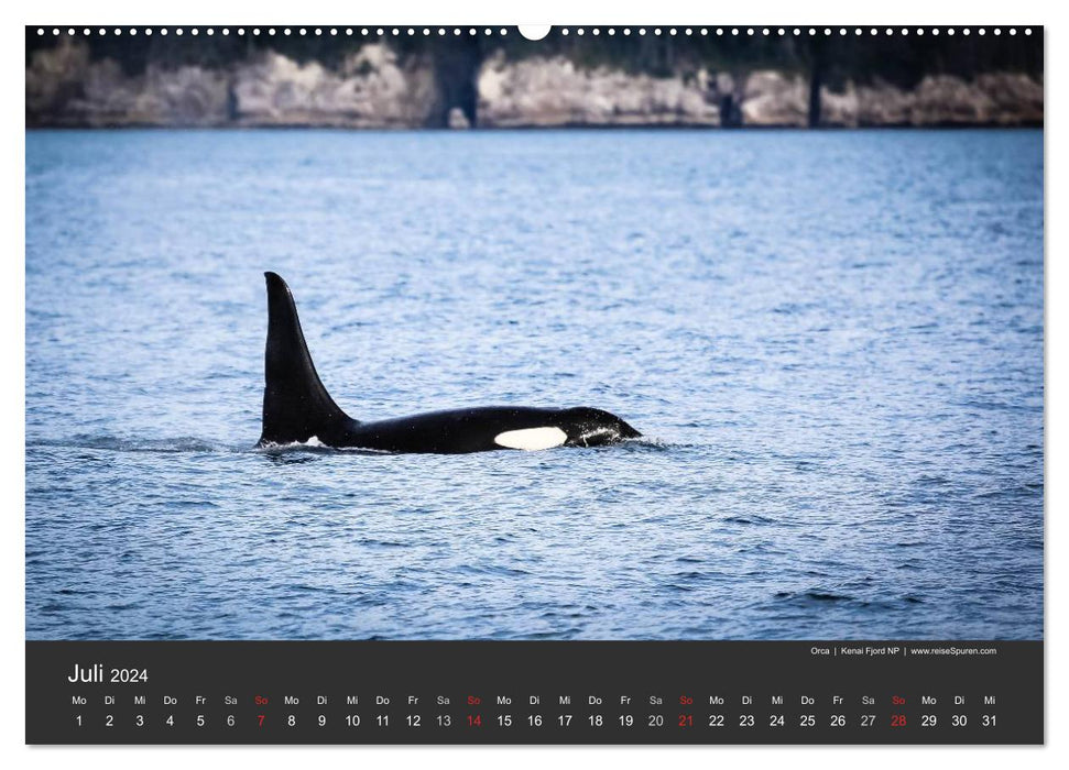 Alaska 2024 - fascinantement différent (Calvendo Premium Wall Calendar 2024) 