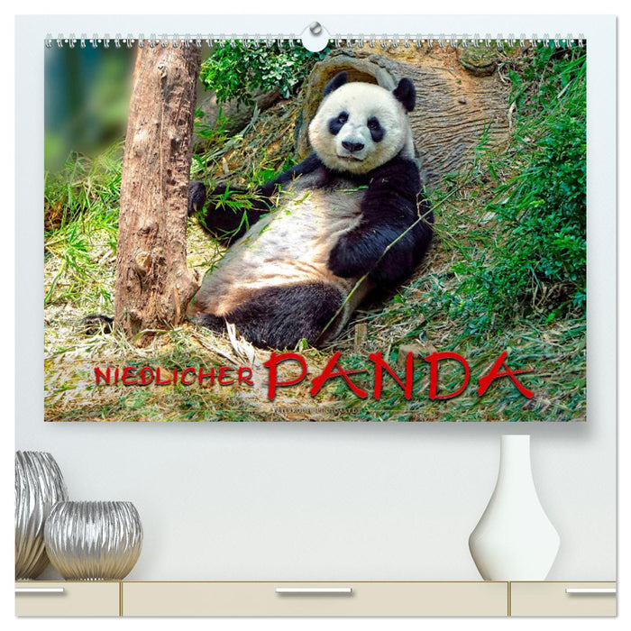 Panda mignon (Calendrier mural CALVENDO Premium 2024) 