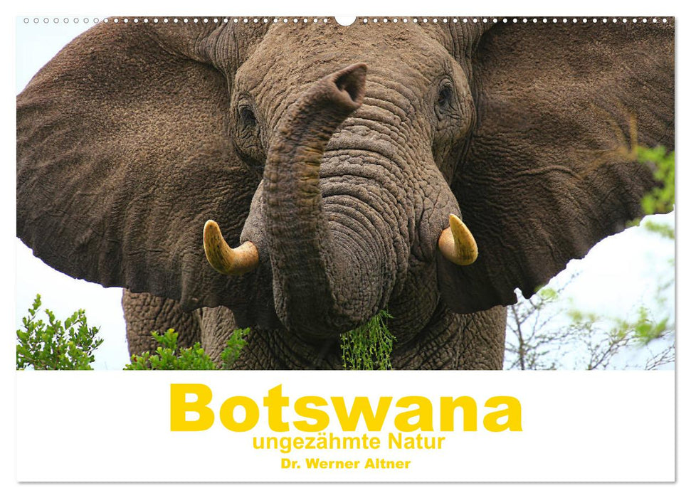 Botswana - nature sauvage (Calendrier mural CALVENDO 2024) 