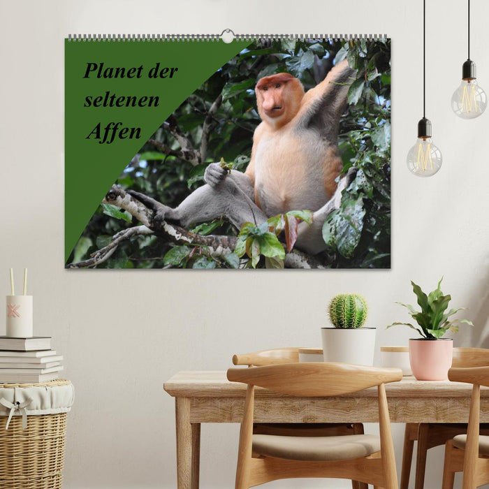 Planet der seltenen Affen (CALVENDO Wandkalender 2024)