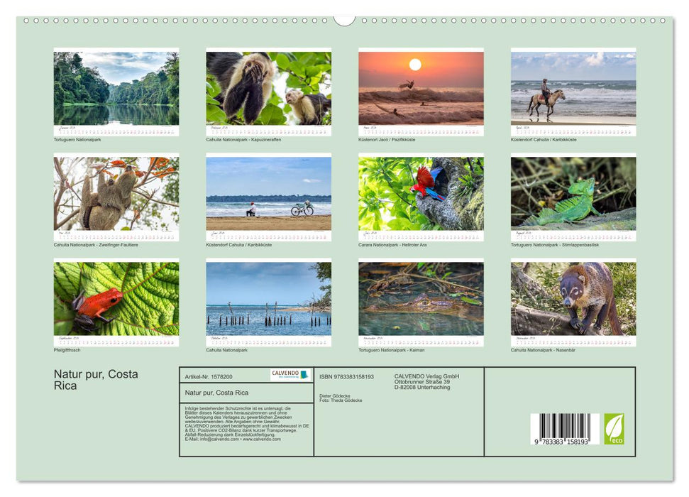 Natur pur, Costa Rica (CALVENDO Premium Wandkalender 2024)