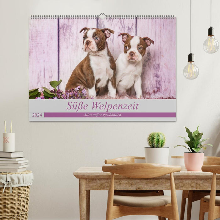 Sweet puppy time - Everything but ordinary (CALVENDO wall calendar 2024) 