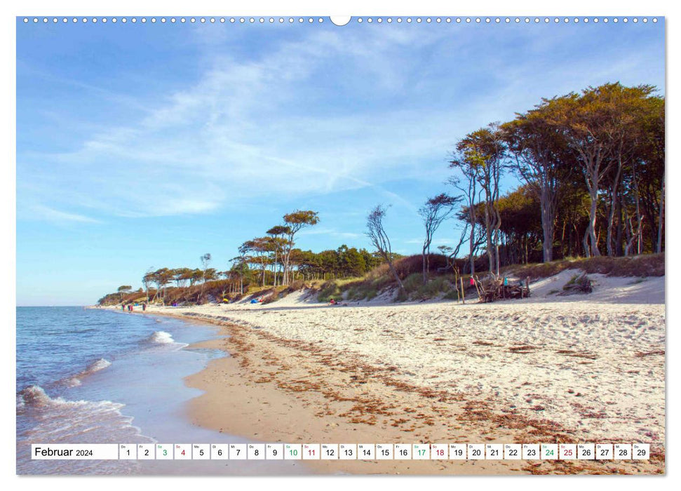 Darßer Weststrand - Fischland Darß Zingst (CALVENDO wall calendar 2024) 