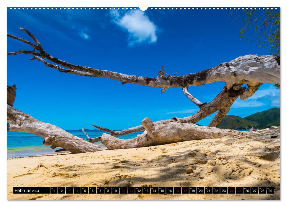 Trauminseln Seychellen (CALVENDO Premium Wandkalender 2024)