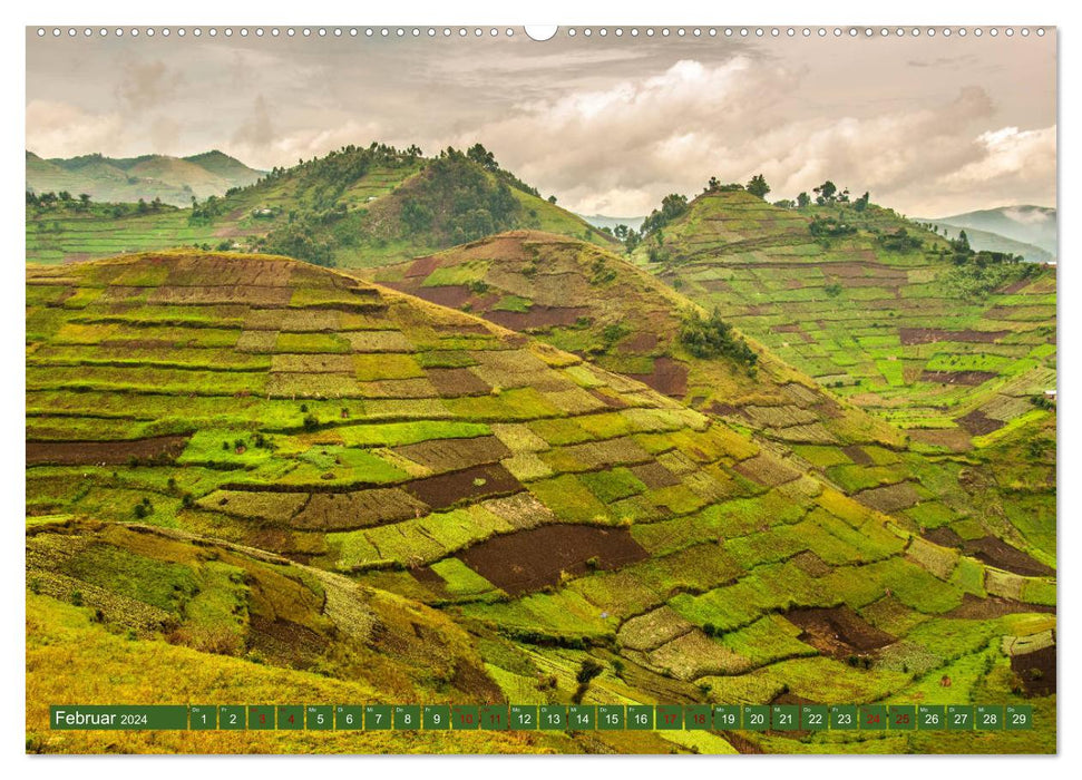 Ouganda - au cœur de l'Afrique (Calvendo Premium Wall Calendar 2024) 