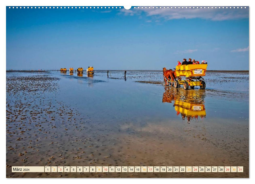 Voyage à travers l'Allemagne - Basse-Saxe (Calvendo Premium Wall Calendar 2024) 