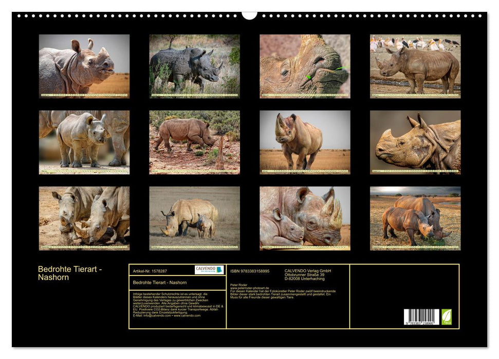 Espèces menacées – Rhinocéros (Calendrier mural CALVENDO 2024) 