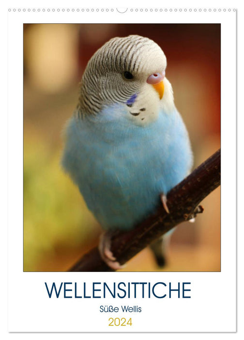 WELLENSITTICHE - Süße Wellis (CALVENDO Wandkalender 2024)