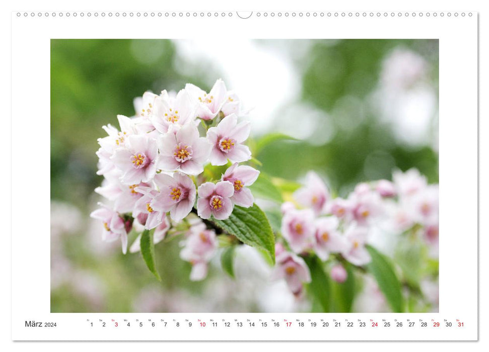 Fleurs d'un été (Calendrier mural CALVENDO Premium 2024) 