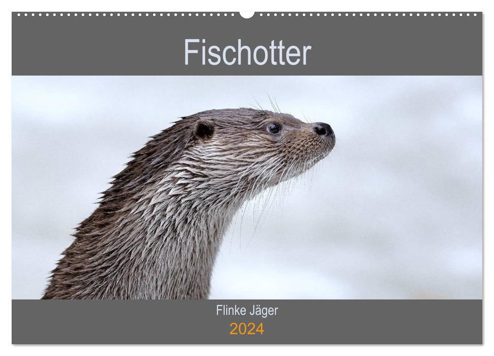 Fischotter, flinke Jäger (CALVENDO Wandkalender 2024)