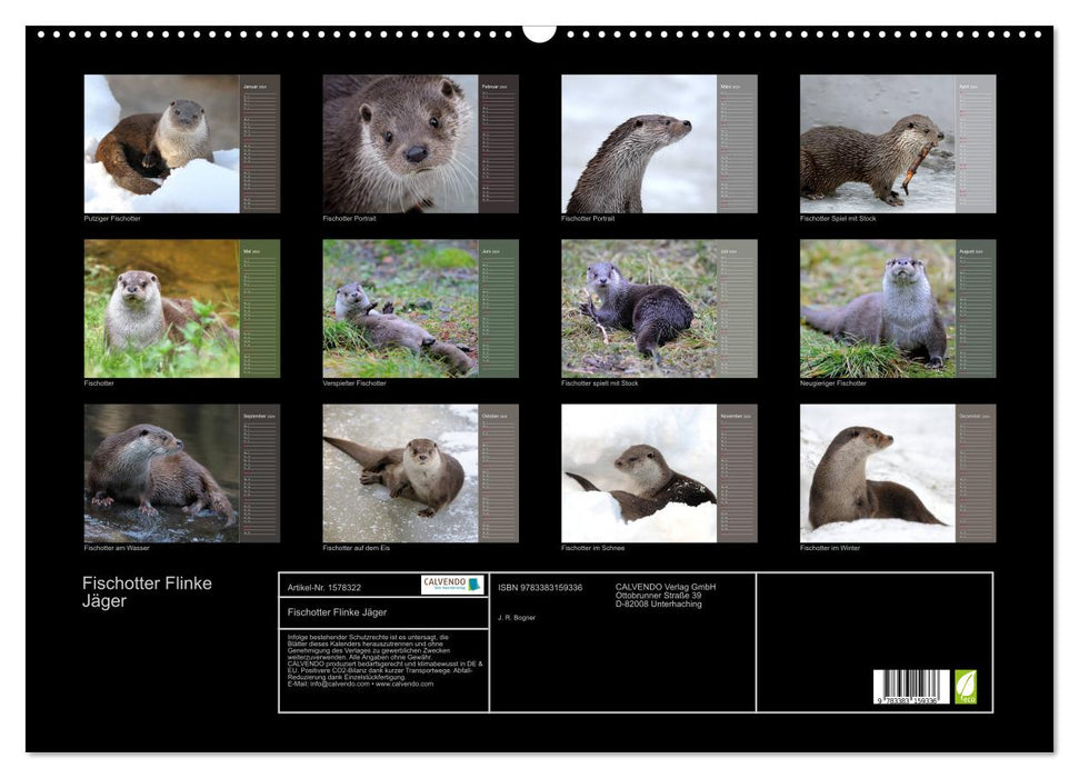 Otters, agile hunters (CALVENDO wall calendar 2024) 