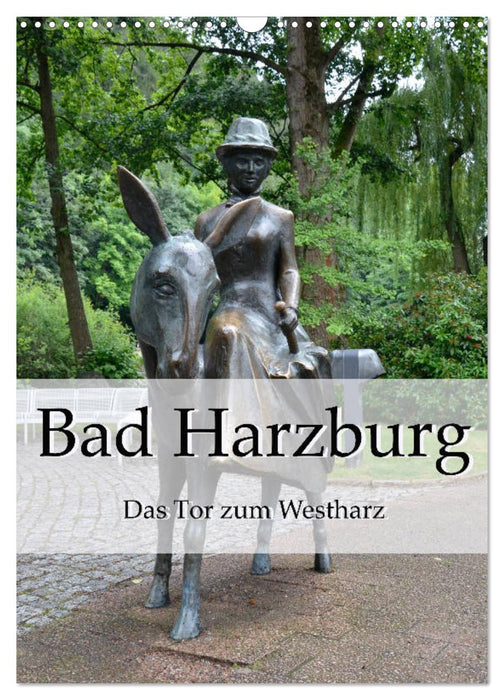 Bad Harzbourg. La porte d'entrée du Harz occidental (calendrier mural CALVENDO 2024) 