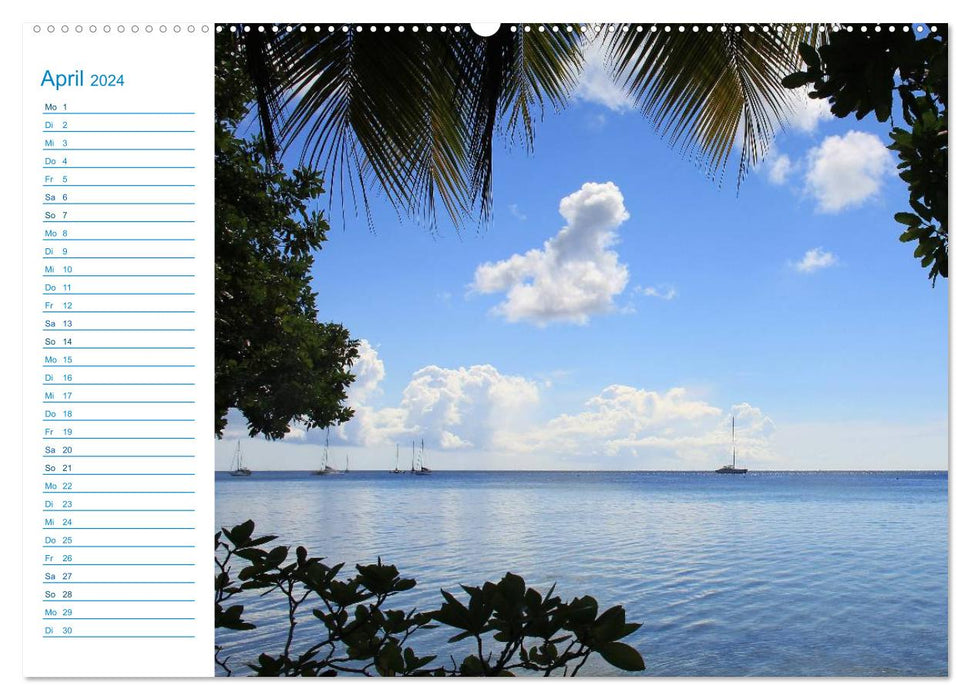 Polynésie française - îles de rêve dans le Pacifique Sud (Calendrier mural CALVENDO Premium 2024) 