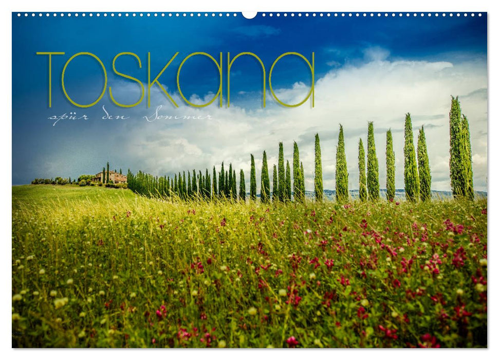 Toskana - spür den Sommer (CALVENDO Wandkalender 2024)