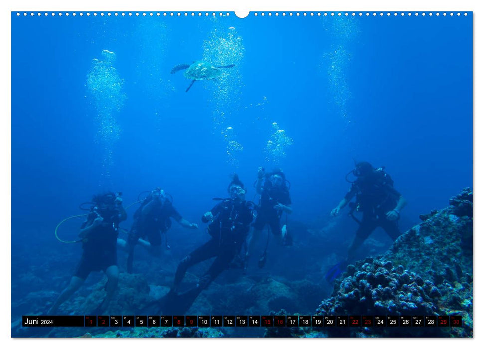 Diving in the Sychelles (CALVENDO wall calendar 2024) 