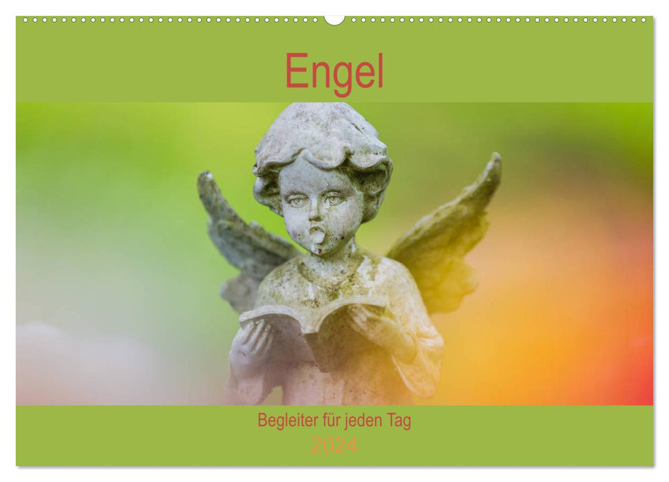 Angel - companion for every day (CALVENDO wall calendar 2024) 