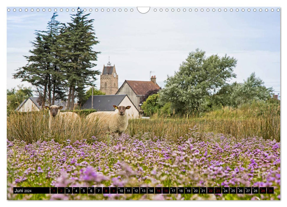 Magical La Manche (CALVENDO wall calendar 2024) 