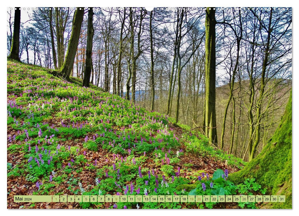 Hiking experiences in the Weserbergland (CALVENDO wall calendar 2024) 