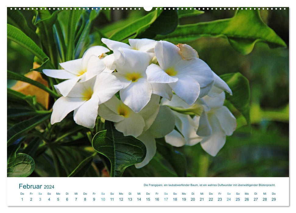 South Sea island of Huahine - paradise at the end of the world (CALVENDO Premium Wall Calendar 2024) 