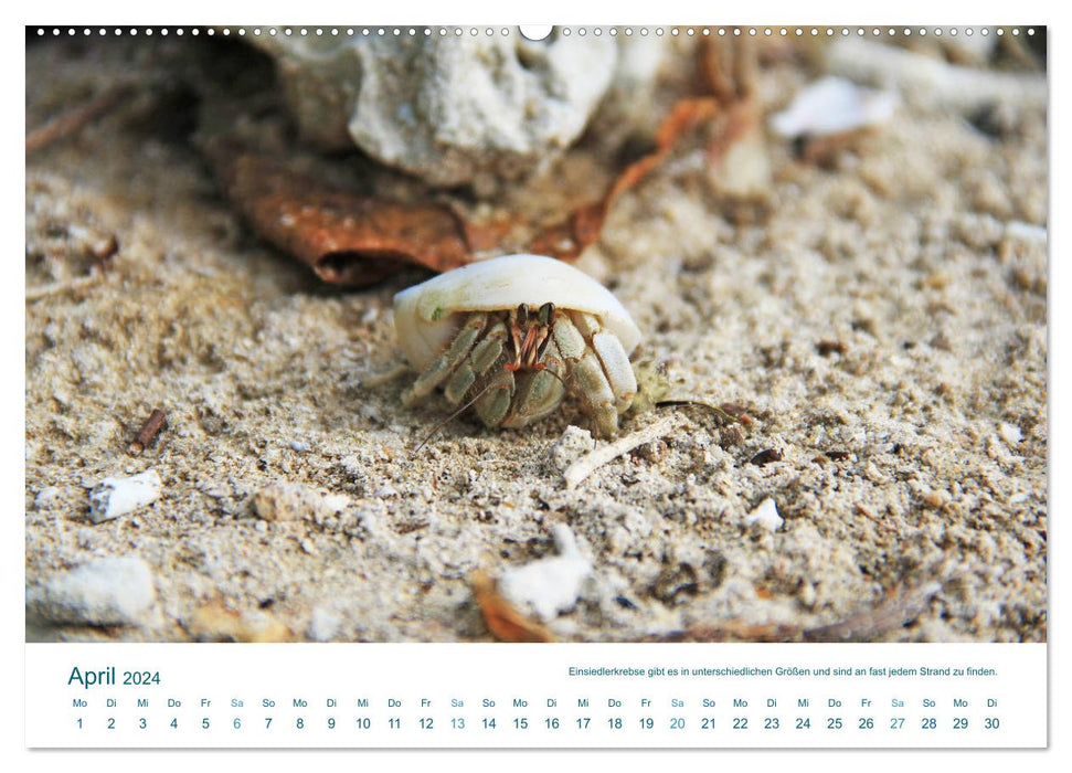 South Sea island of Huahine - paradise at the end of the world (CALVENDO Premium Wall Calendar 2024) 