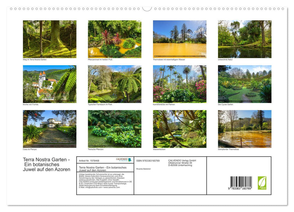 Terra Nostra Garden - a botanical jewel in the Azores (CALVENDO Premium Wall Calendar 2024) 