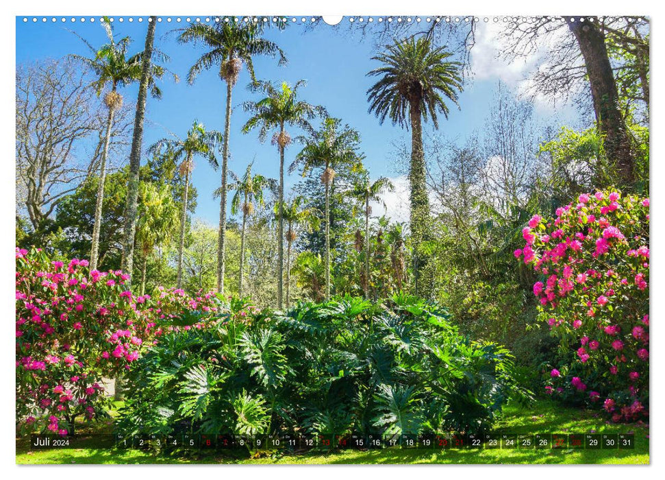Terra Nostra Garden - a botanical jewel in the Azores (CALVENDO Premium Wall Calendar 2024) 