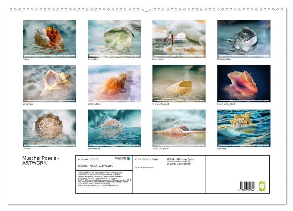 Shell Poetry - ARTWORK (CALVENDO Wall Calendar 2024) 