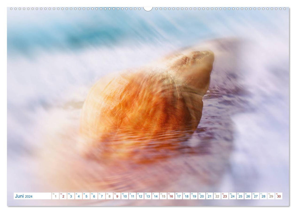 Shell Poetry - ARTWORK (CALVENDO Wall Calendar 2024) 