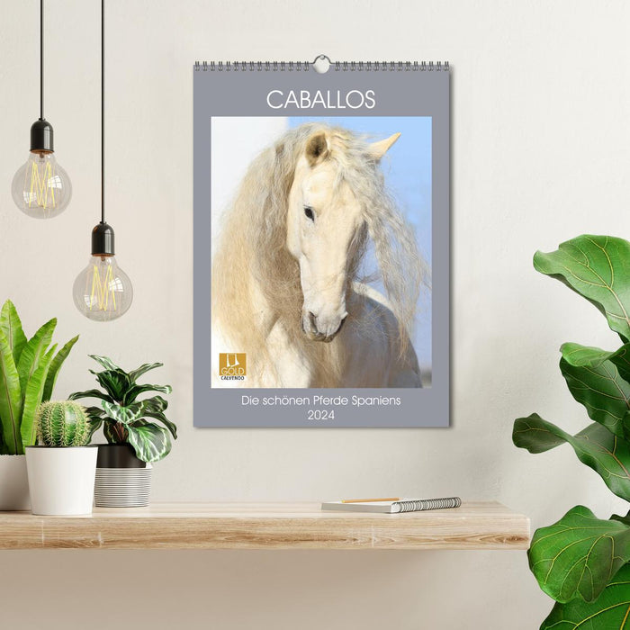 Caballos - The beautiful horses of Spain (CALVENDO wall calendar 2024) 