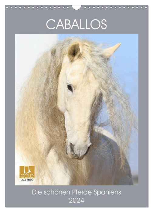 Caballos - The beautiful horses of Spain (CALVENDO wall calendar 2024) 