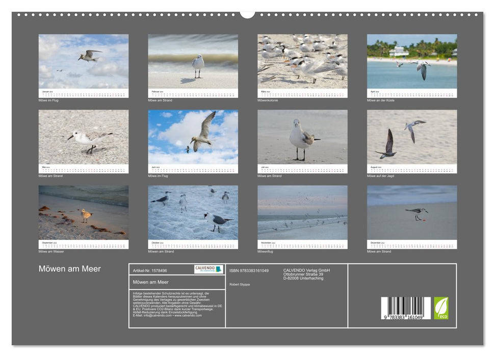 Mouettes au bord de la mer (Calvendo Premium Wall Calendar 2024) 