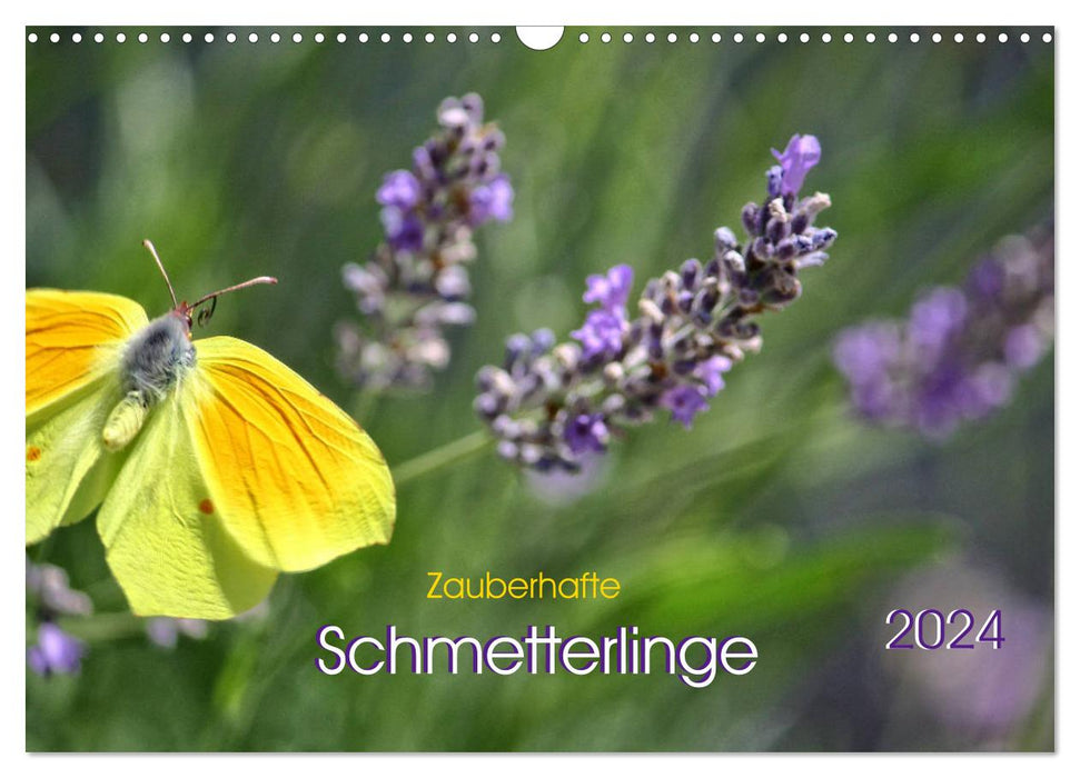 Zauberhafte Schmetterlinge (CALVENDO Wandkalender 2024)