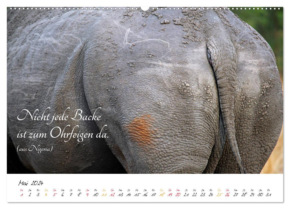 AFRICA - Continent of Poetry (CALVENDO Premium Wall Calendar 2024) 