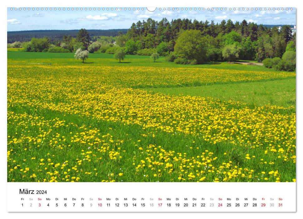 Wunderschönes Villingen (CALVENDO Premium Wandkalender 2024)