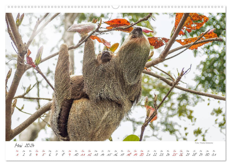 Pure nature, Costa Rica (CALVENDO wall calendar 2024) 