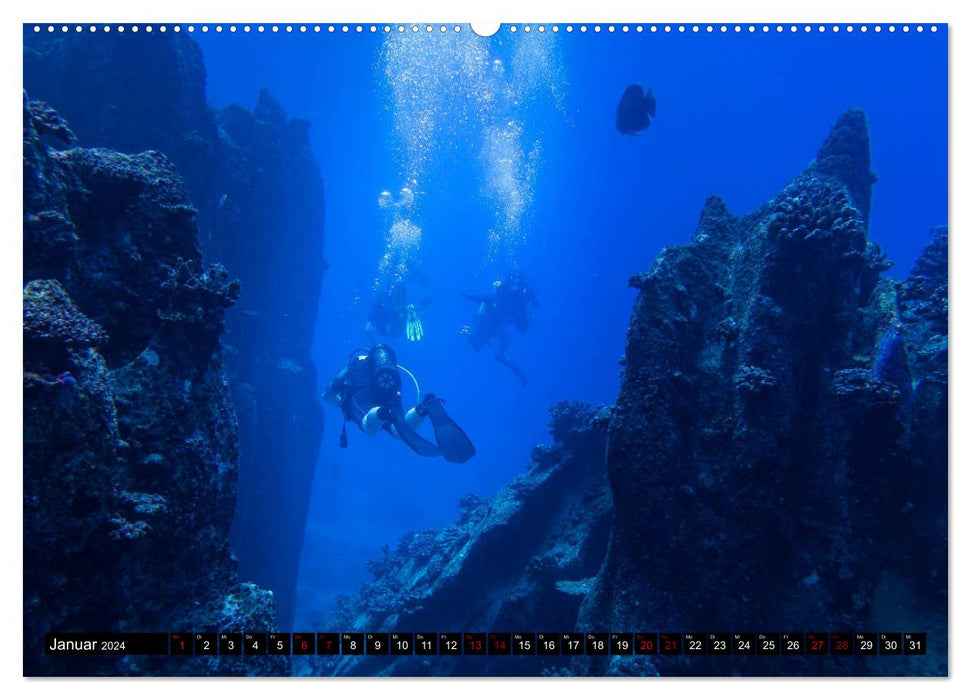 Diving in the Sychelles (CALVENDO Premium Wall Calendar 2024) 