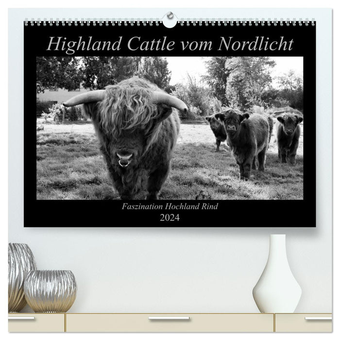 Highland Cattle from the Northern Lights - Fascination of Highland Cattle (CALVENDO Premium Wall Calendar 2024) 