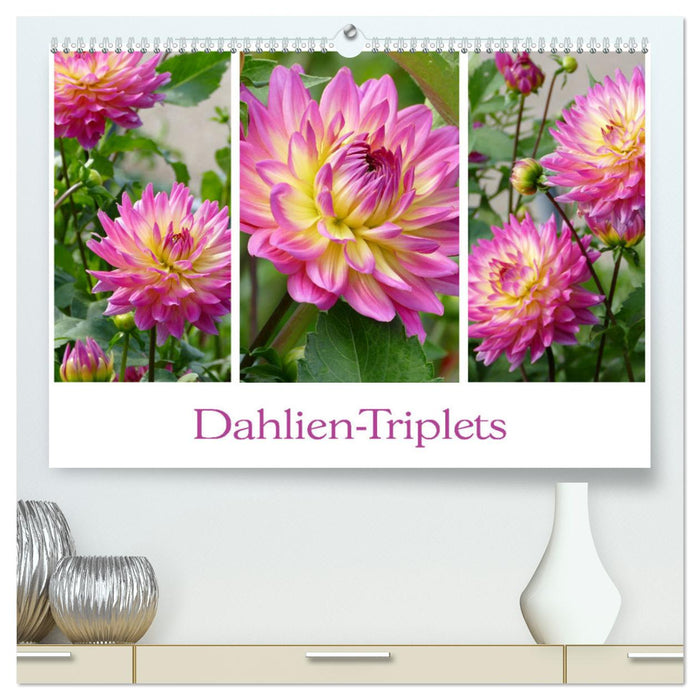 Dahlien-Triplets (CALVENDO Premium Wandkalender 2024)