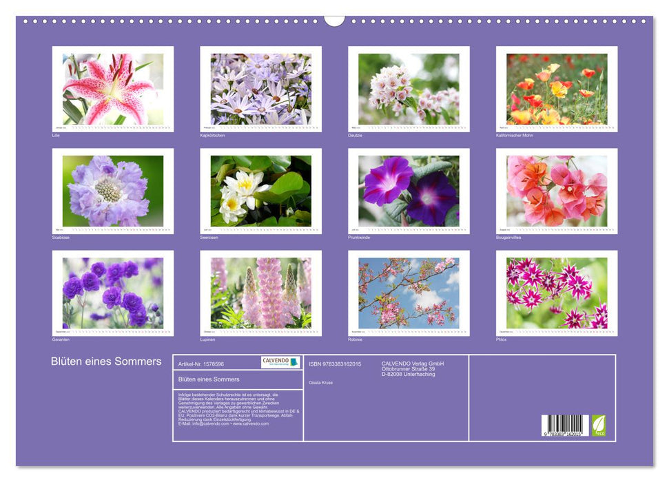 Blüten eines Sommers (CALVENDO Wandkalender 2024)
