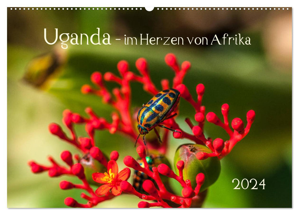 Uganda - im Herzen von Afrika (CALVENDO Wandkalender 2024)
