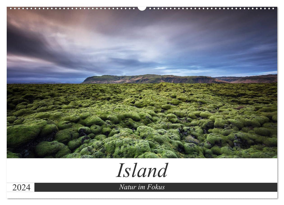 Iceland - Nature in Focus (CALVENDO Wall Calendar 2024) 