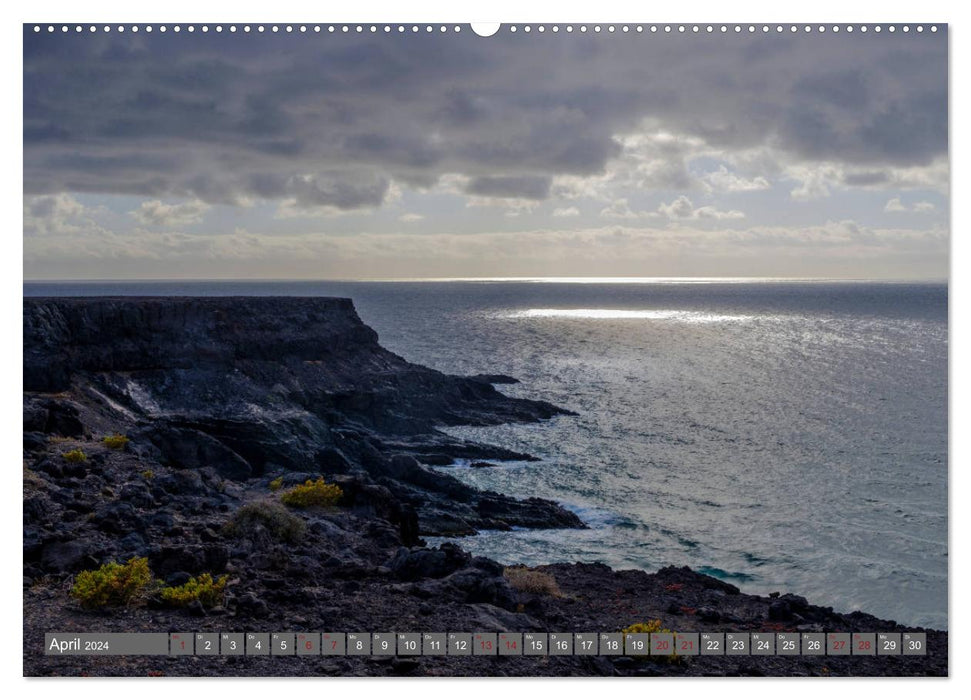 Fuerteventura - côte et désert (Calendrier mural CALVENDO 2024) 